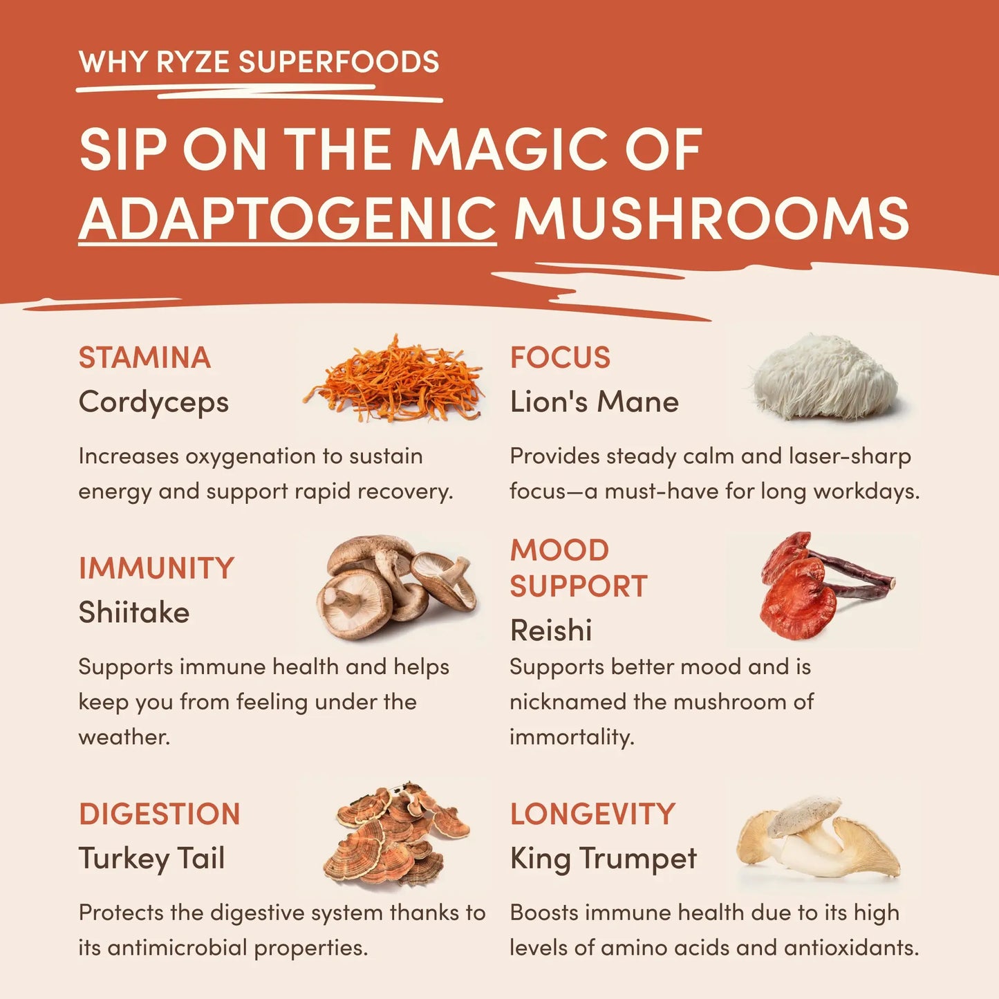 Mushroom Coffee (1 pack - 30 Servings)